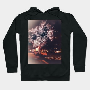 Winter in New York City Hoodie